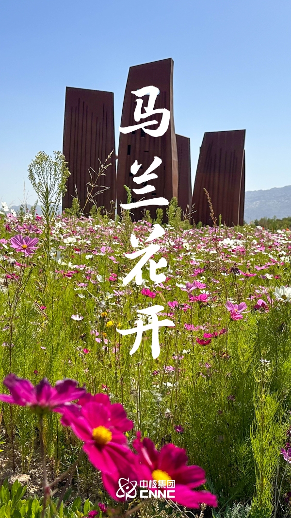 馬蘭花開(kāi)